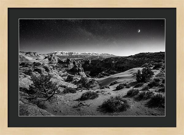 Starry Night Over Joshua Tree