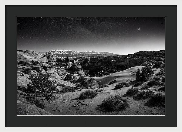 Starry Night Over Joshua Tree