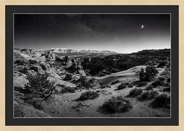 Starry Night Over Joshua Tree