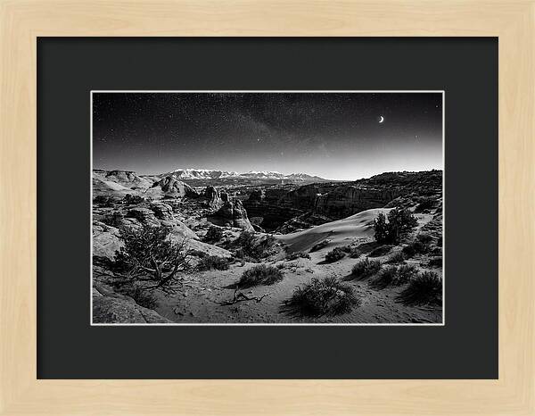 Starry Night Over Joshua Tree