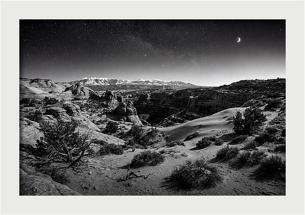 Starry Night Over Joshua Tree