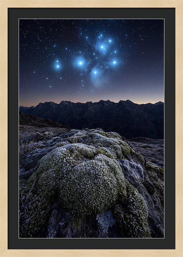 Starry Night Over Pleiades
