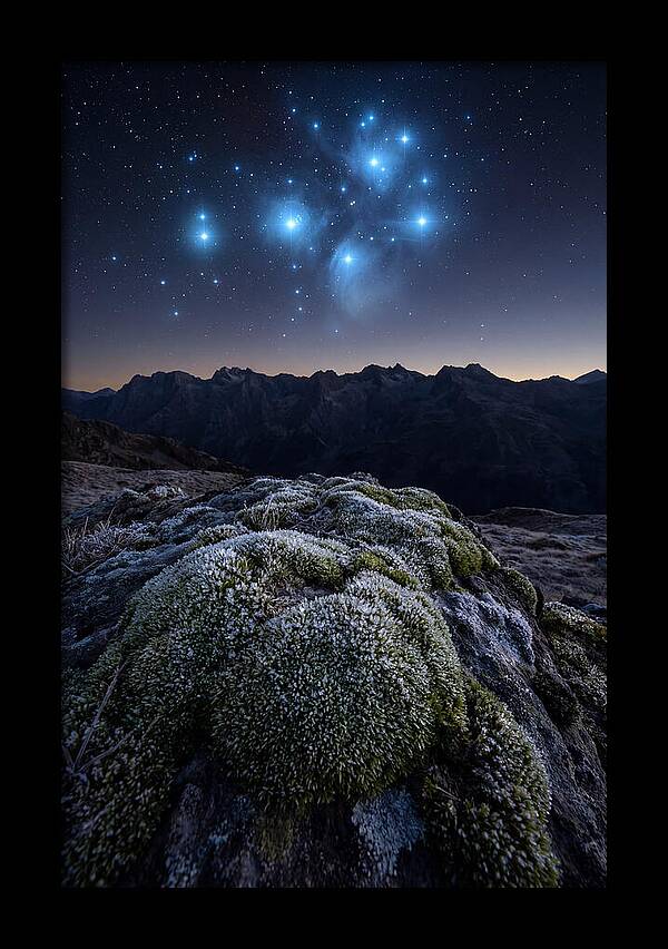 Starry Night Over Pleiades