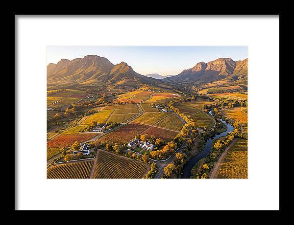 Stellenbosch Wine Region In Autumn