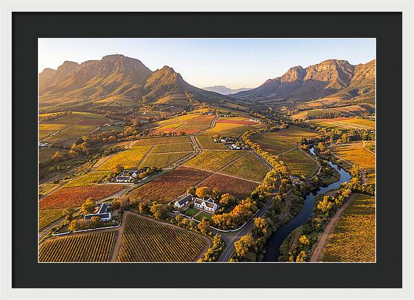 Stellenbosch Wine Region In Autumn
