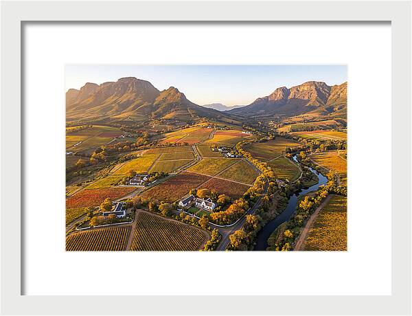 Stellenbosch Wine Region In Autumn