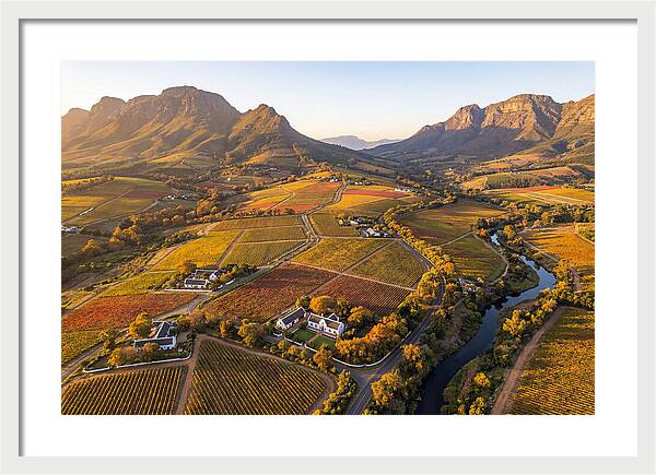 Stellenbosch Wine Region In Autumn