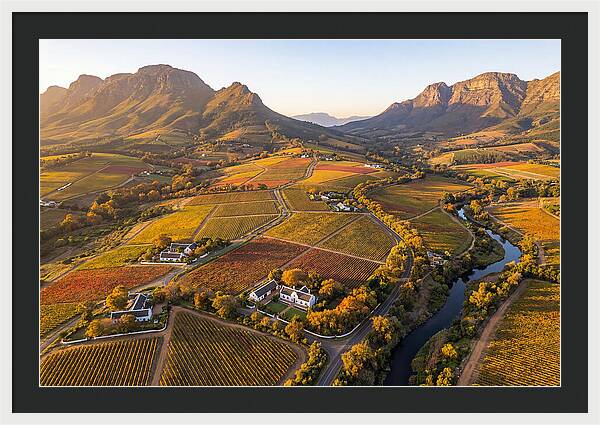 Stellenbosch Wine Region In Autumn