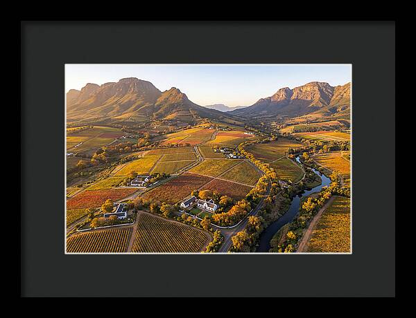 Stellenbosch Wine Region In Autumn