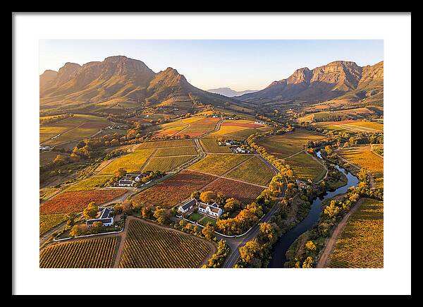 Stellenbosch Wine Region In Autumn