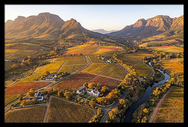 Stellenbosch Wine Region In Autumn