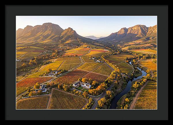 Stellenbosch Wine Region In Autumn