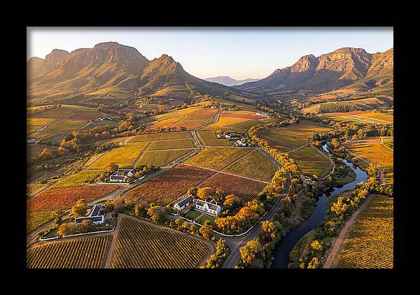 Stellenbosch Wine Region In Autumn