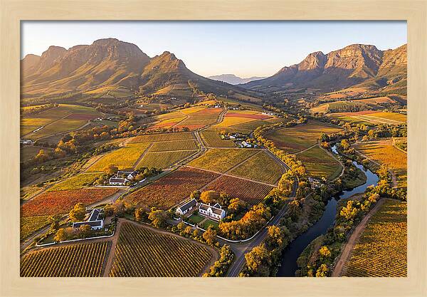 Stellenbosch Wine Region In Autumn