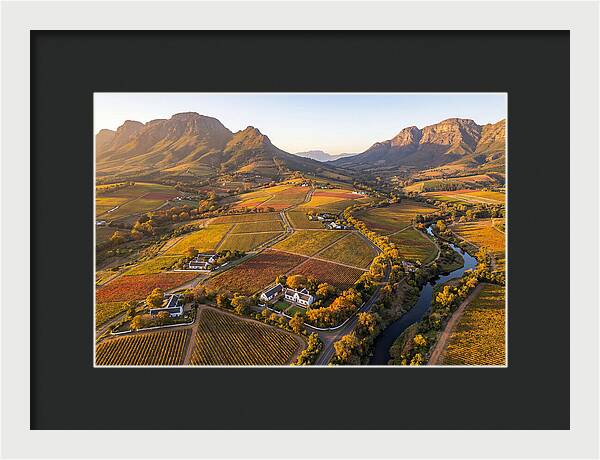 Stellenbosch Wine Region In Autumn