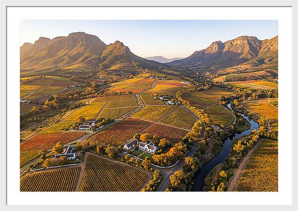 Stellenbosch Wine Region In Autumn