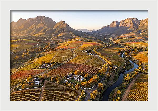 Stellenbosch Wine Region In Autumn