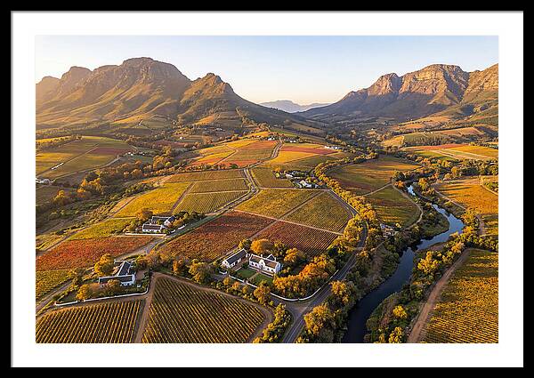 Stellenbosch Wine Region In Autumn