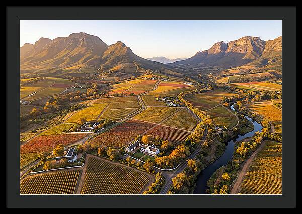 Stellenbosch Wine Region In Autumn