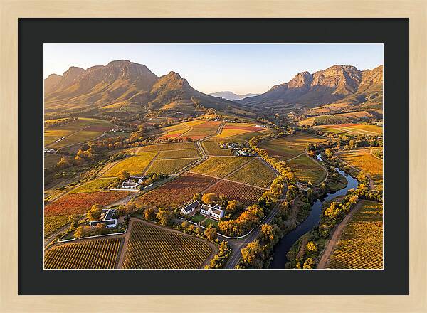 Stellenbosch Wine Region In Autumn