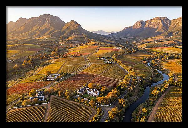 Stellenbosch Wine Region In Autumn
