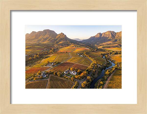 Stellenbosch Wine Region In Autumn
