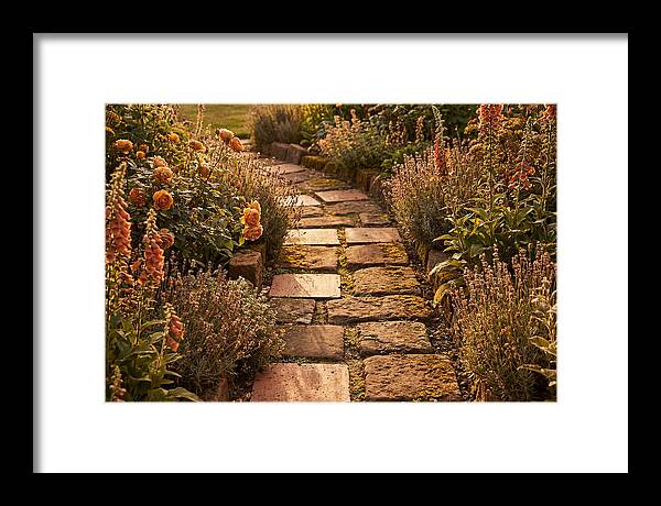 Stepping Stone Path Through A Cottage Garden