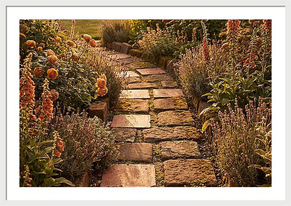 Stepping Stone Path Through A Cottage Garden