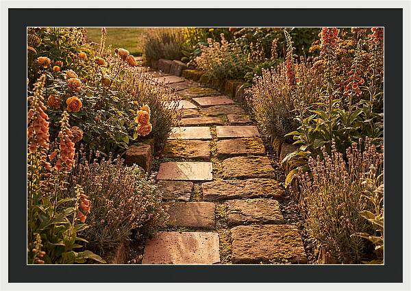 Stepping Stone Path Through A Cottage Garden