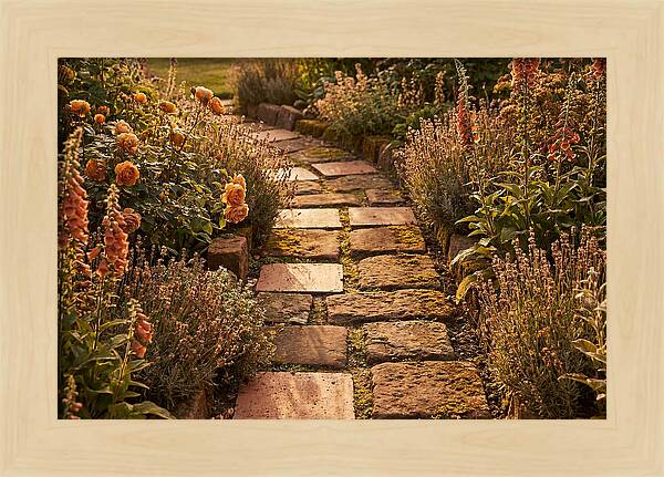 Stepping Stone Path Through A Cottage Garden