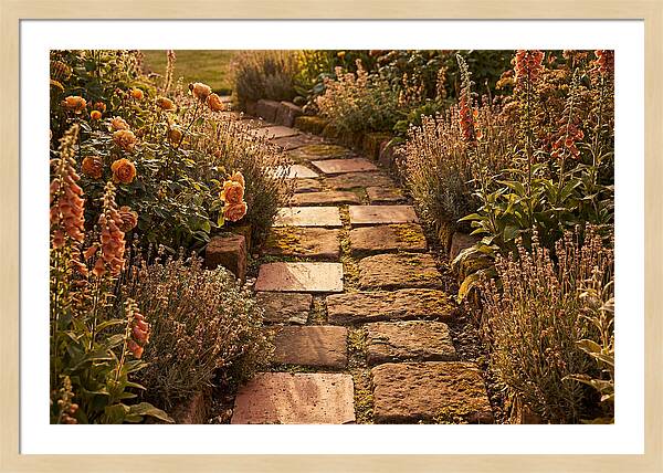 Stepping Stone Path Through A Cottage Garden