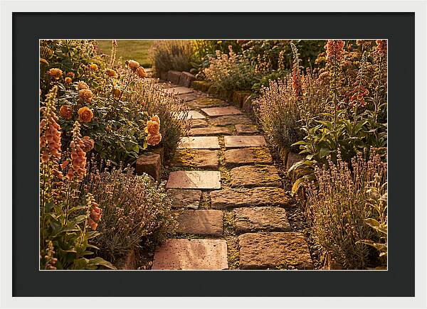 Stepping Stone Path Through A Cottage Garden