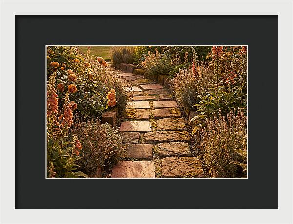Stepping Stone Path Through A Cottage Garden