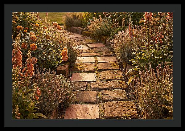 Stepping Stone Path Through A Cottage Garden