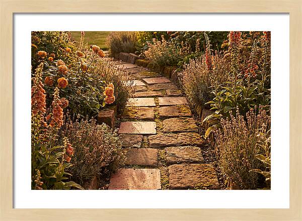 Stepping Stone Path Through A Cottage Garden