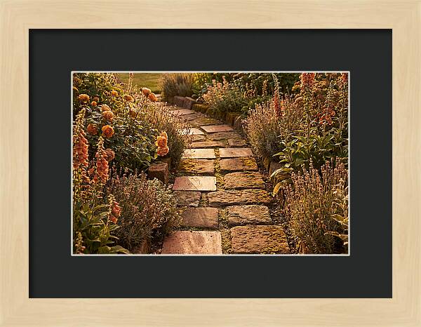 Stepping Stone Path Through A Cottage Garden