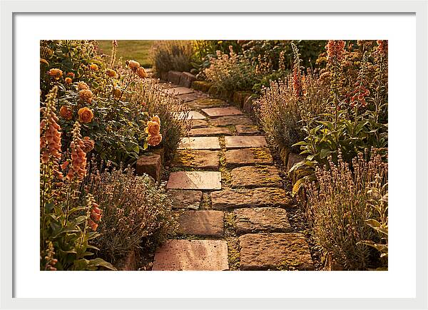 Stepping Stone Path Through A Cottage Garden