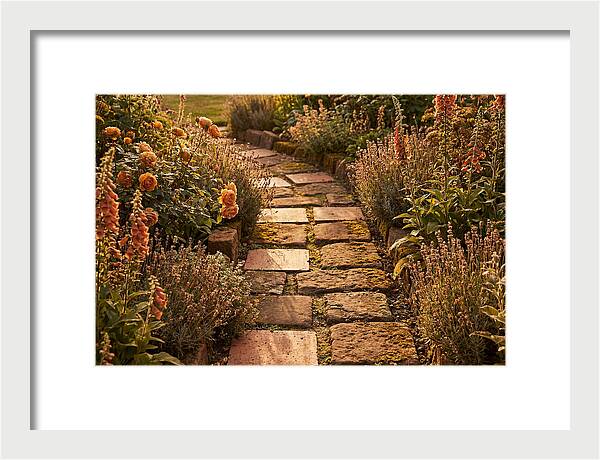 Stepping Stone Path Through A Cottage Garden