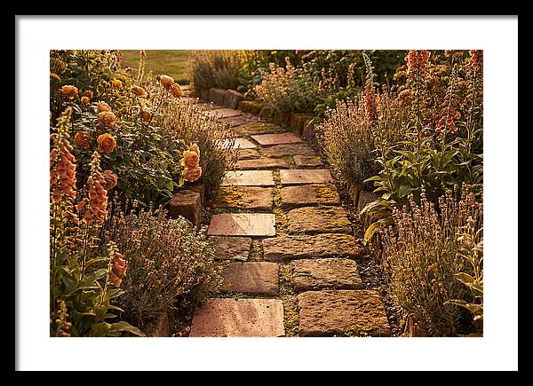 Stepping Stone Path Through A Cottage Garden