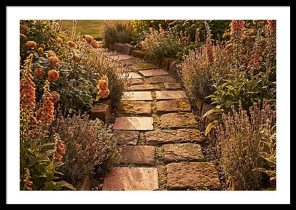 Stepping Stone Path Through A Cottage Garden