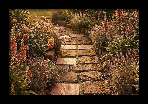 Stepping Stone Path Through A Cottage Garden