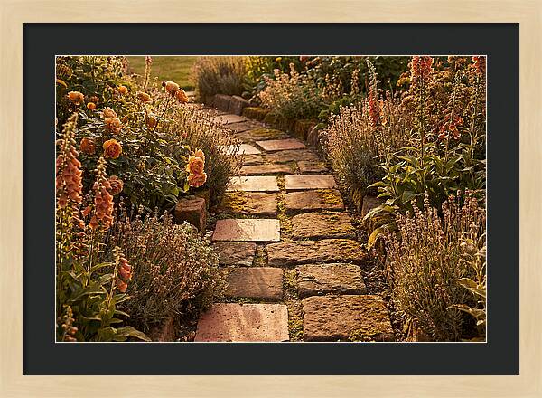 Stepping Stone Path Through A Cottage Garden