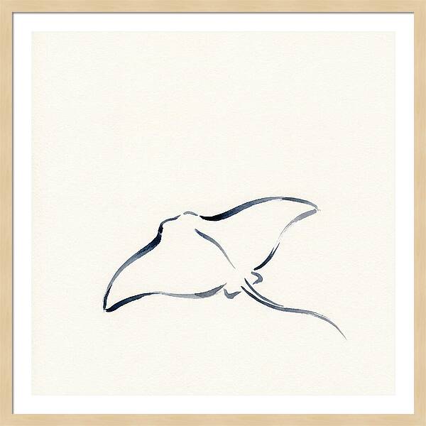Stingray Silhouette