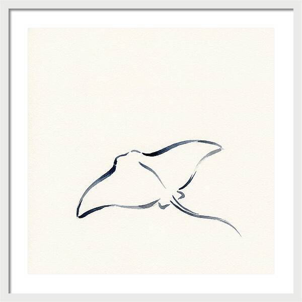 Stingray Silhouette