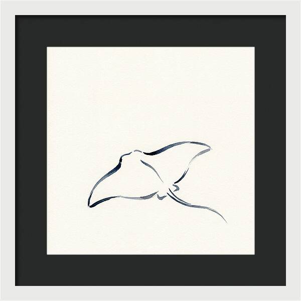 Stingray Silhouette