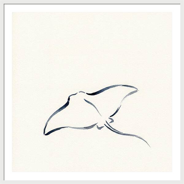 Stingray Silhouette