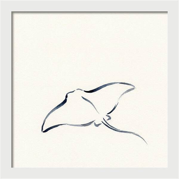 Stingray Silhouette