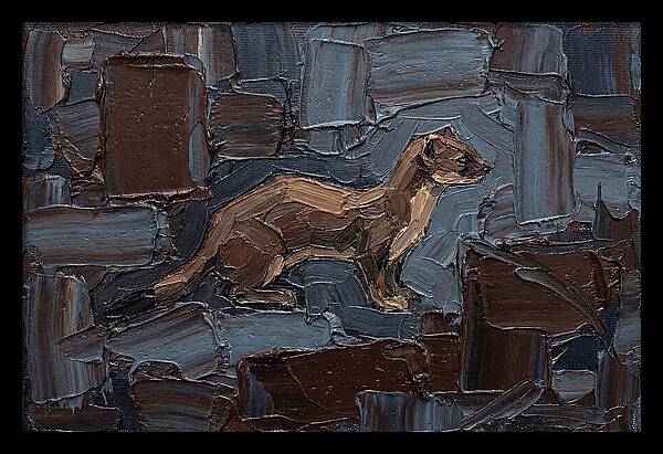 Stoat Amongst Textured Earth