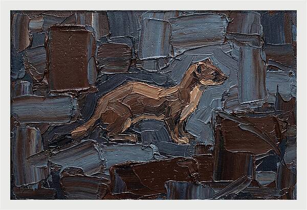 Stoat Amongst Textured Earth