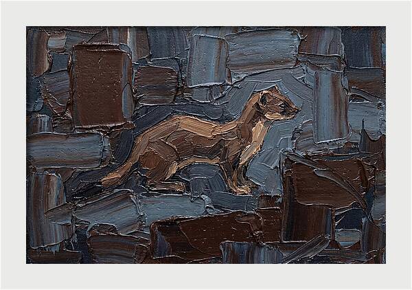 Stoat Amongst Textured Earth
